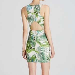 Lucy Paris tropical cut out sleeveless dress NWT